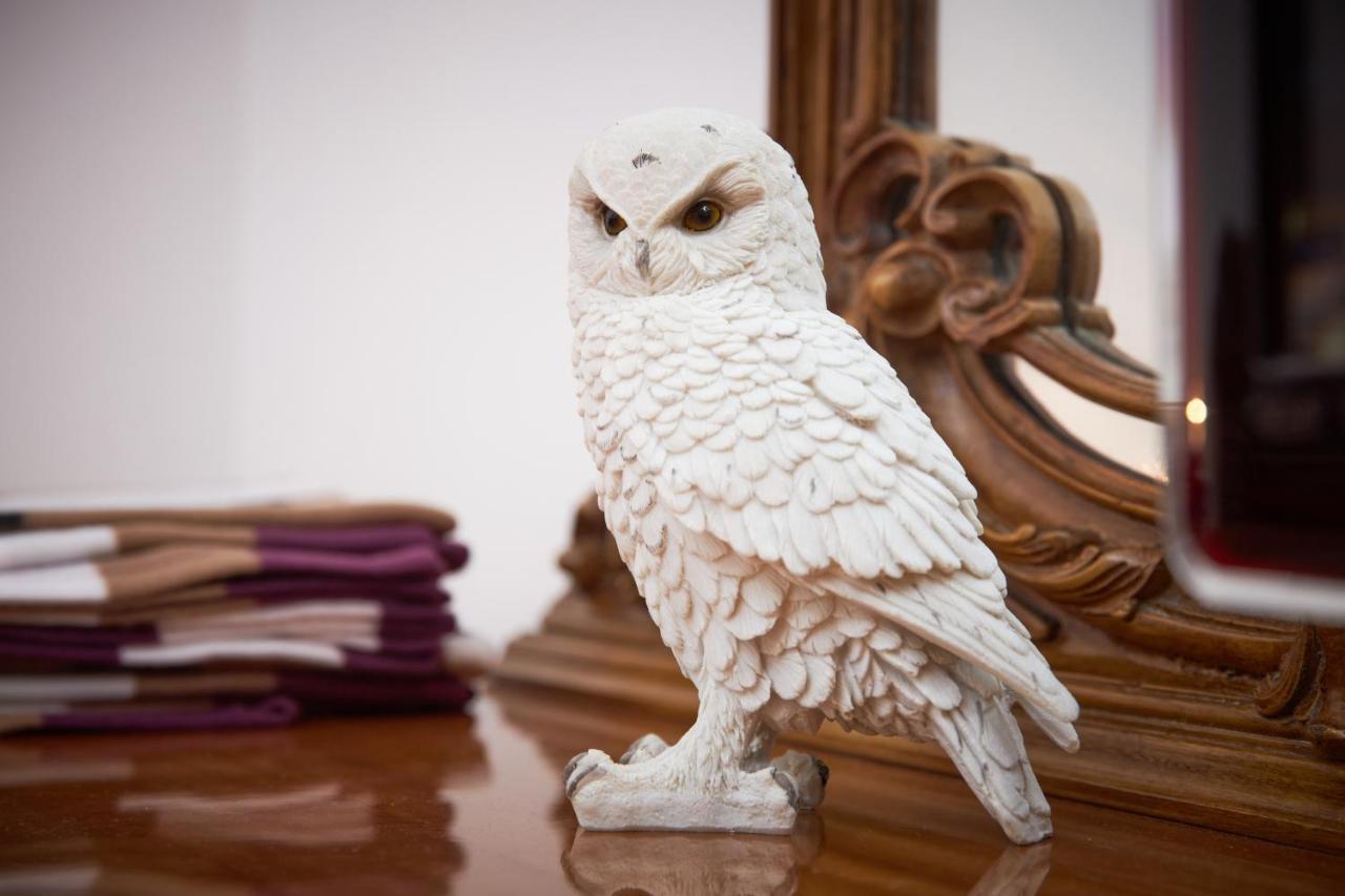 Harry Potter'S Magic House - Metro M4 - Linate - Citta Studi Apartman Milánó Kültér fotó